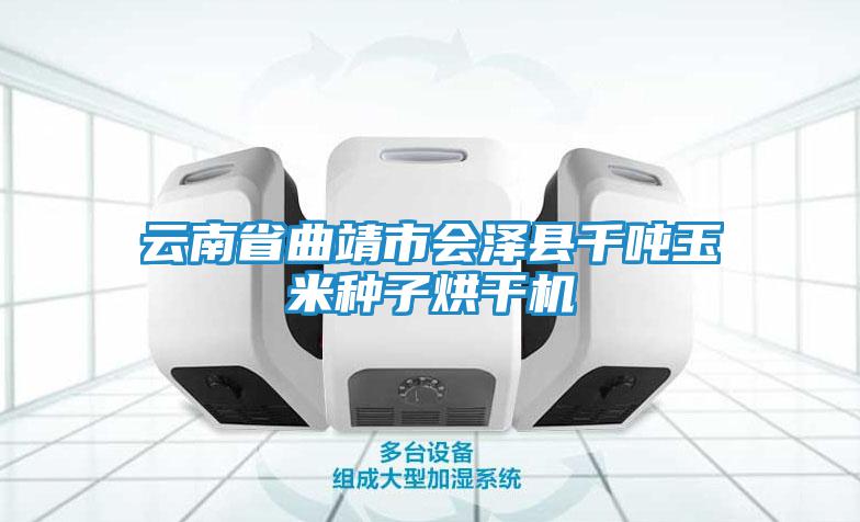 云南省曲靖市会泽县千吨玉米种子烘干机