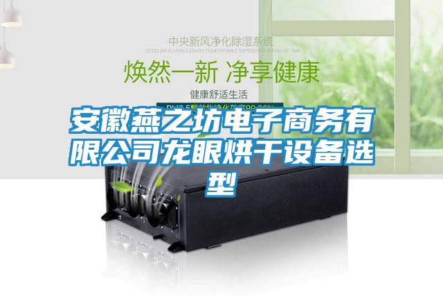 安徽燕之坊电子商务有限公司龙眼烘干设备选型
