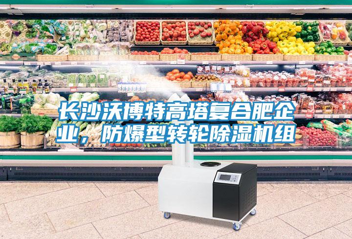 长沙沃博特高塔复合肥企业，防爆型转轮除湿机组