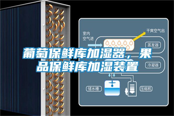 葡萄保鲜库加湿器，果品保鲜库加湿装置