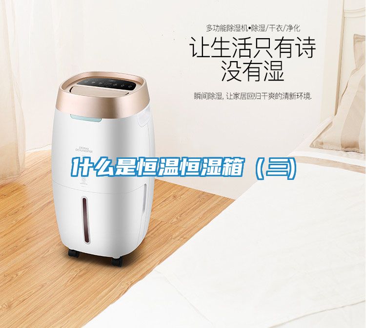 什么是恒温恒湿箱（三)