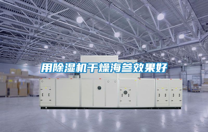 用除湿机干燥海参效果好