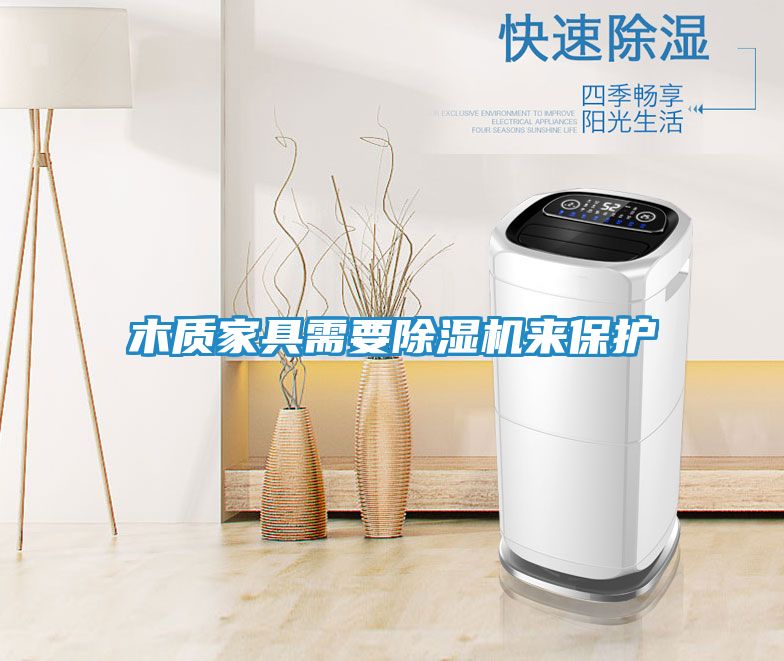 木质家具需要除湿机来保护