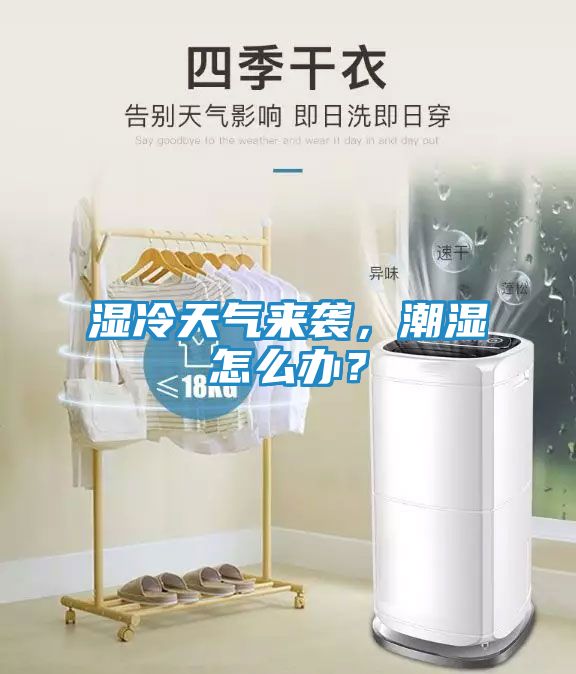 湿冷天气来袭，潮湿怎么办？