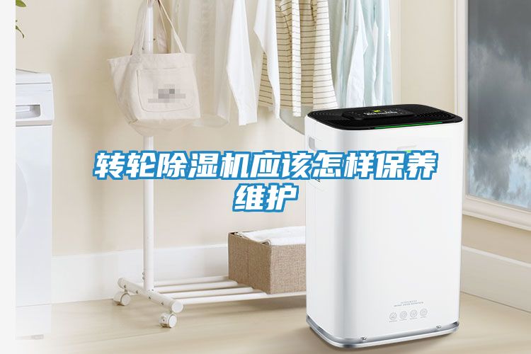 转轮除湿机应该怎样保养维护
