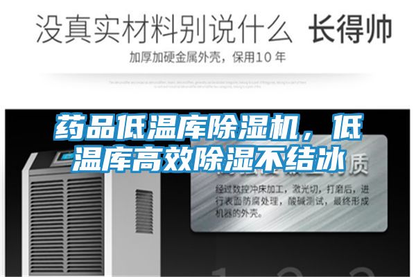 药品低温库除湿机，低温库高效除湿不结冰