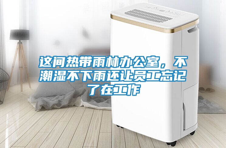 这间热带雨林办公室，不潮湿不下雨还让员工忘记了在工作