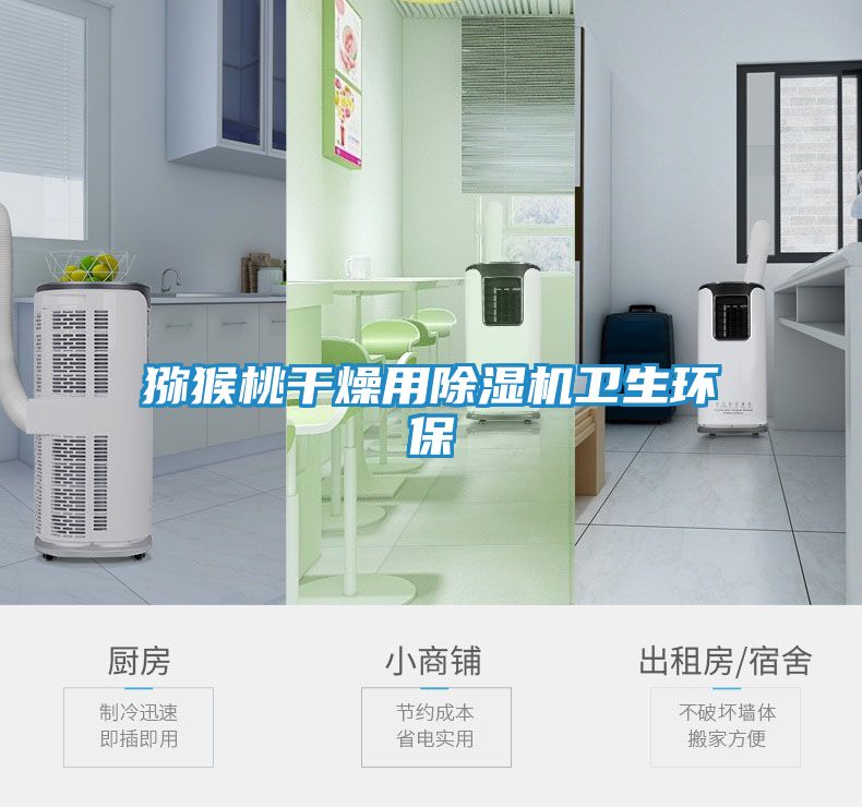 猕猴桃干燥用除湿机卫生环保
