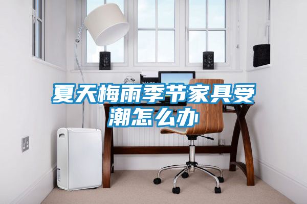 夏天梅雨季节家具受潮怎么办