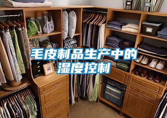 毛皮制品生产中的湿度控制