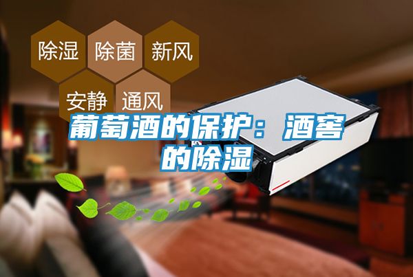 葡萄酒的保护：酒窖的除湿