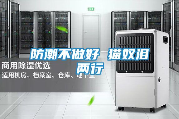 防潮不做好 猫奴泪两行