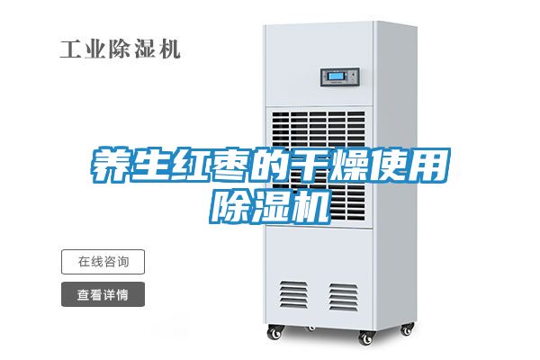 养生红枣的干燥使用除湿机