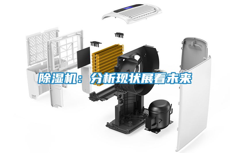 除湿机：分析现状展看未来