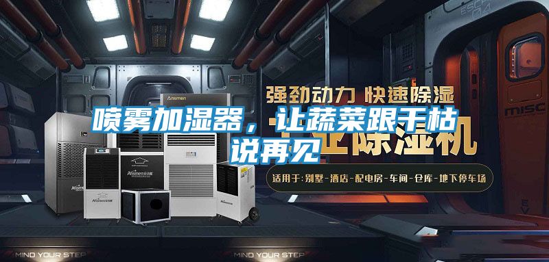 喷雾加湿器，让蔬菜跟干枯说再见