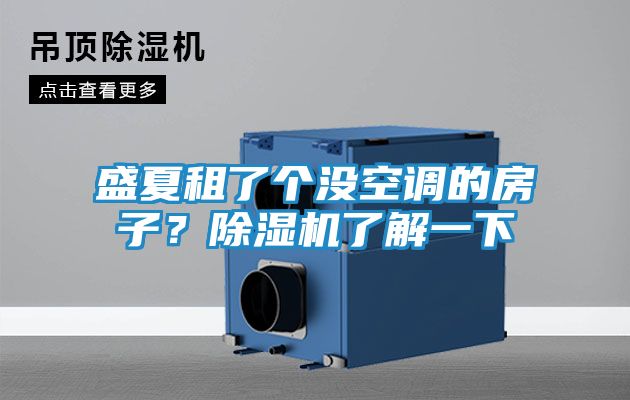 盛夏租了个没空调的房子？除湿机了解一下