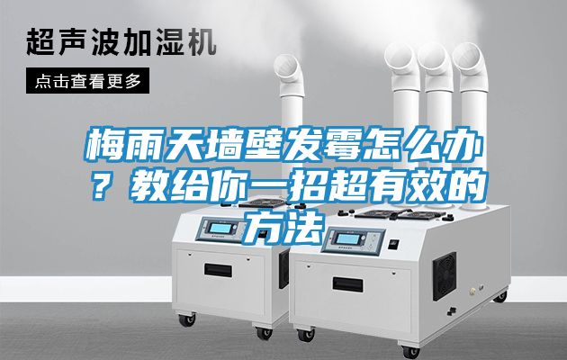 梅雨天墙壁发霉怎么办？教给你一招超有效的方法