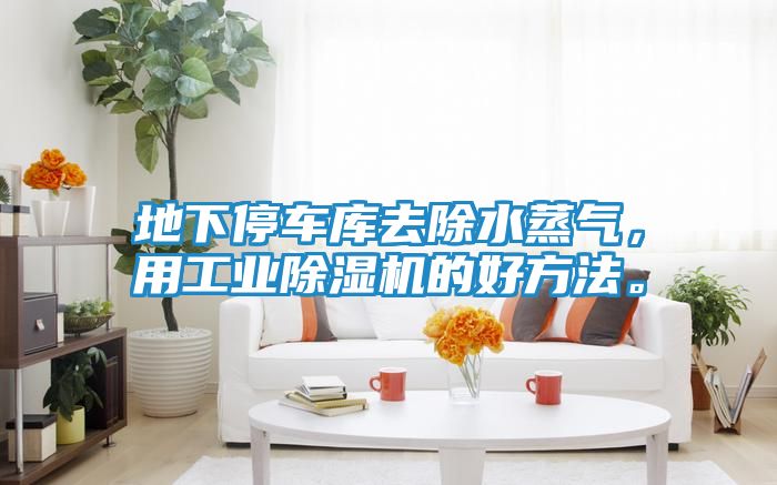 地下停车库去除水蒸气，用工业除湿机的好方法。