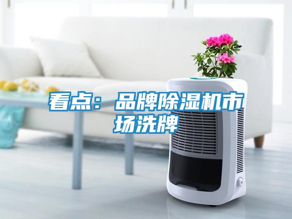 看点：品牌除湿机市场洗牌