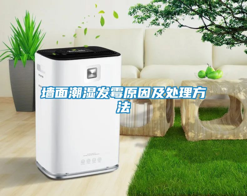 墙面潮湿发霉原因及处理方法