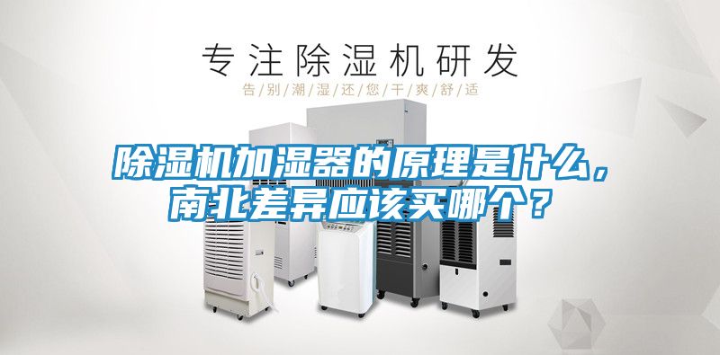 除湿机加湿器的原理是什么，南北差异应该买哪个？