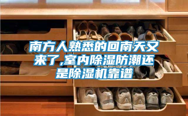 南方人熟悉的回南天又来了,室内除湿防潮还是除湿机靠谱
