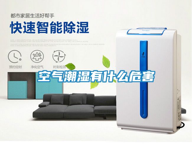 空气潮湿有什么危害