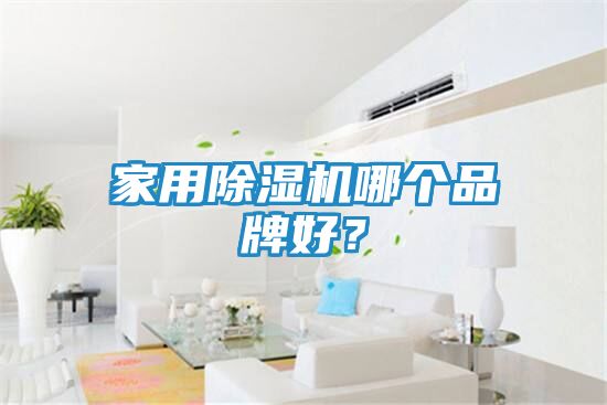 家用除湿机哪个品牌好？