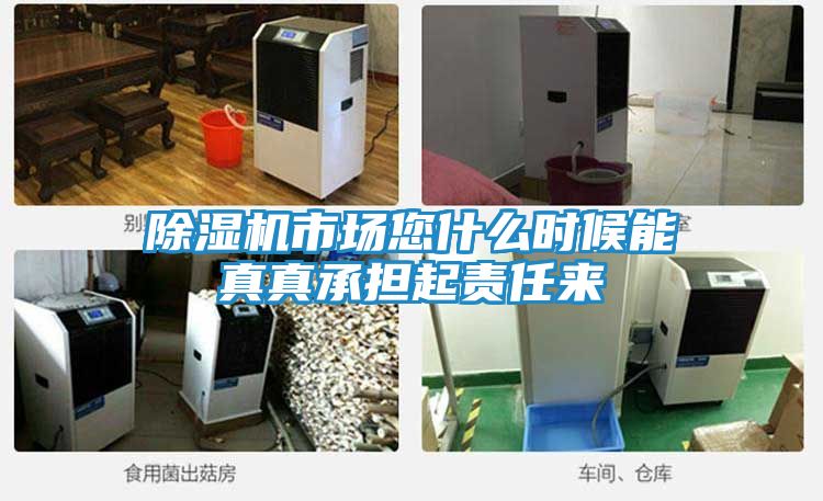 除湿机市场您什么时候能真真承担起责任来