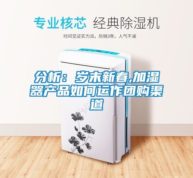 分析:岁末新春,加湿器产品如何运作团购渠道