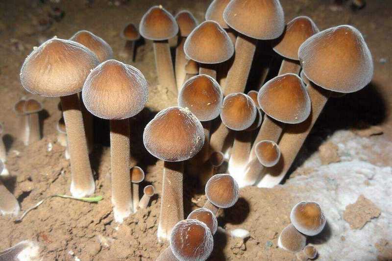 1569577346353912.jpg 图片3.jpg