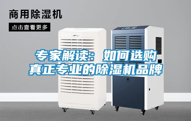 专家解读：如何选购真正专业的除湿机品牌
