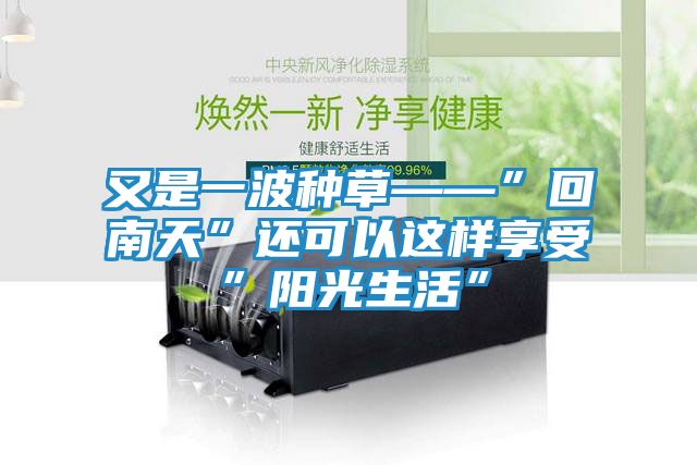 又是一波种草——”回南天”还可以这样享受”阳光生活”