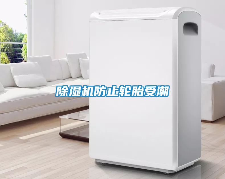 除湿机防止轮胎受潮