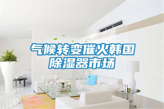 气候转变催火韩国除湿器市场