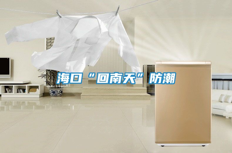海口“回南天”防潮