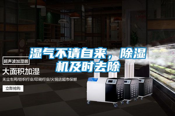 湿气不请自来，除湿机及时去除