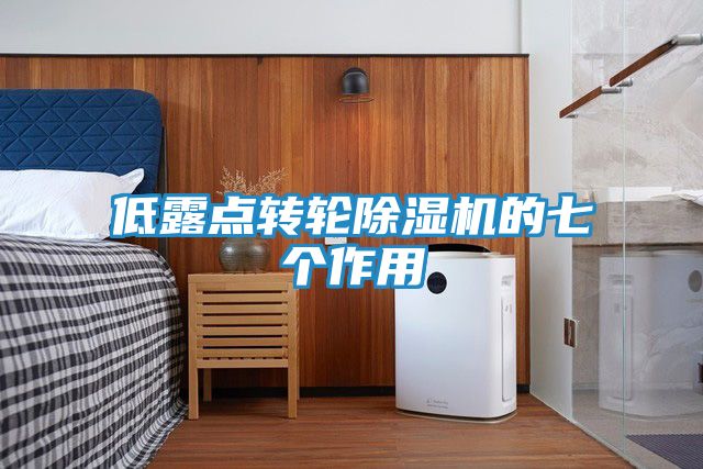 低露点转轮除湿机的七个作用