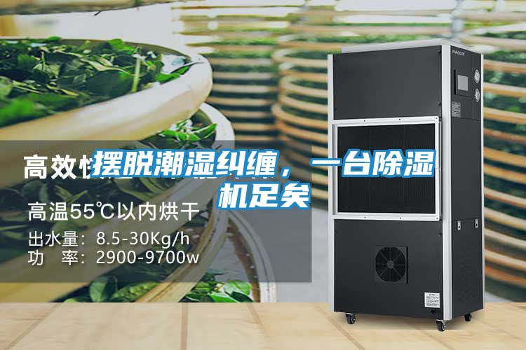 摆脱潮湿纠缠，一台除湿机足矣