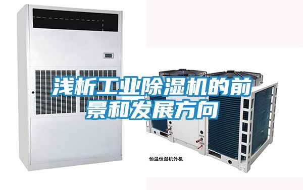 浅析工业除湿机的前景和发展方向