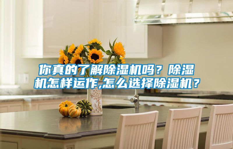 你真的了解除湿机吗？除湿机怎样运作,怎么选择除湿机？