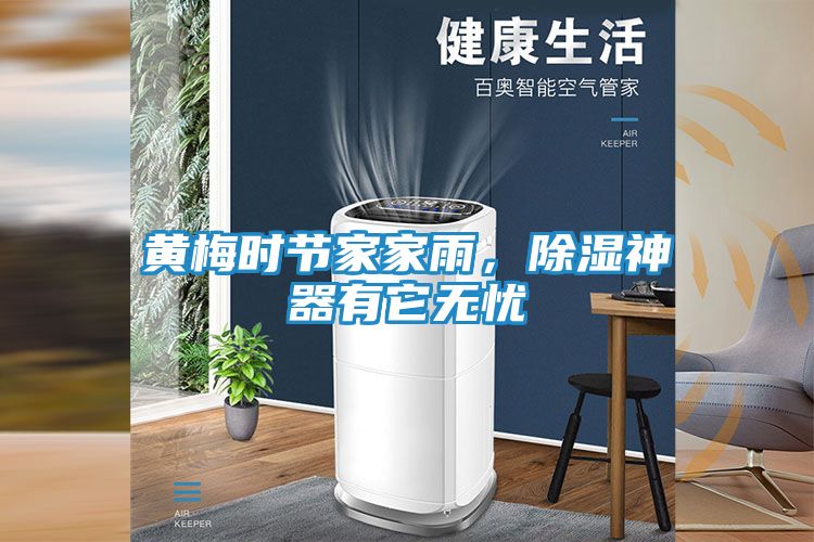 黄梅时节家家雨，除湿神器有它无忧
