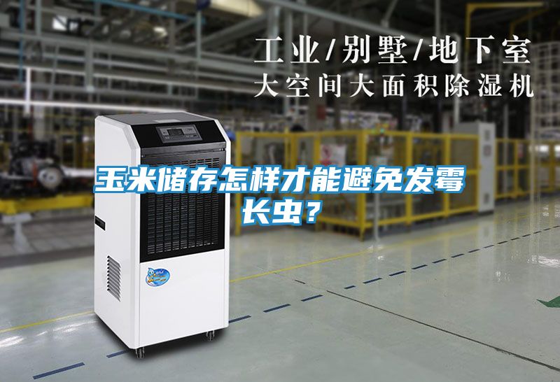 玉米储存怎样才能避免发霉长虫？
