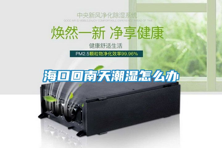海口回南天潮湿怎么办