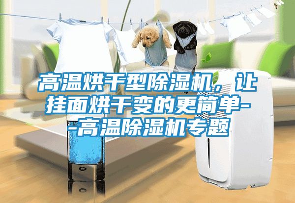 高温烘干型除湿机，让挂面烘干变的更简单--高温除湿机专题