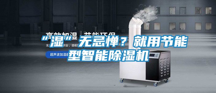 “湿”无忌惮?就用节能型智能除湿机