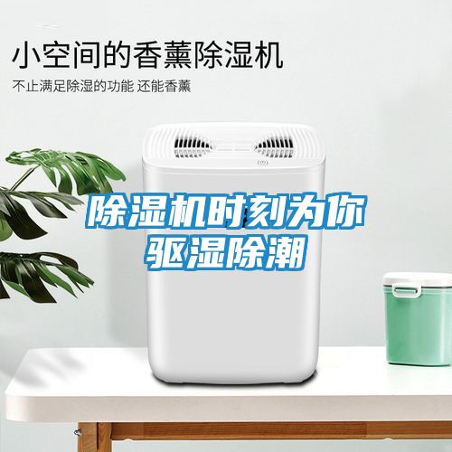 除湿机时刻为你驱湿除潮