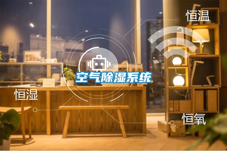 空气除湿系统