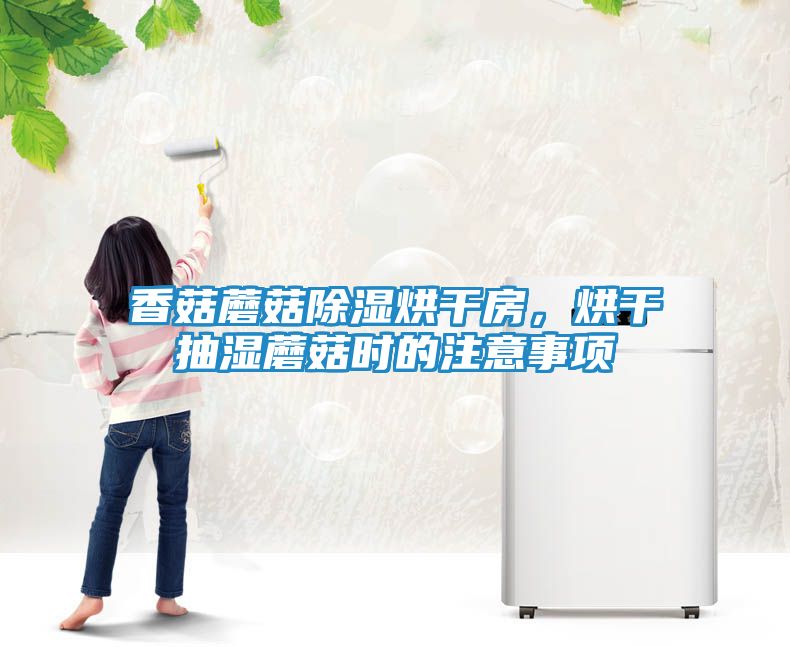 香菇蘑菇除湿烘干房，烘干抽湿蘑菇时的注意事项