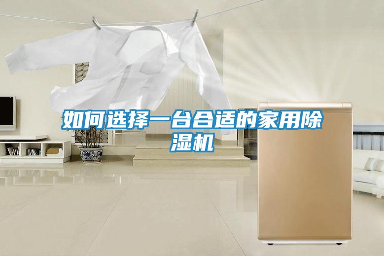 如何选择一台合适的家用除湿机
